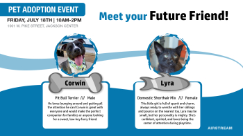 A TV Graphic promoting the pets that would be available for adoption at the Airstream SCARF Pet Adoption Event. A pit bull terrier is on the left, and a black shorthair cat on the right.